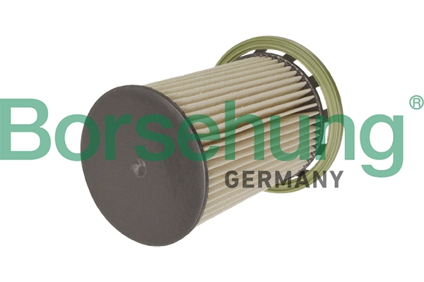B10525 Borsehung