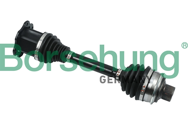 B18398 Borsehung
