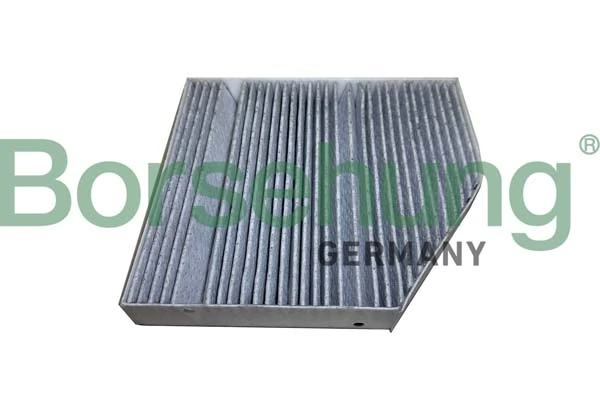 B12449 Borsehung