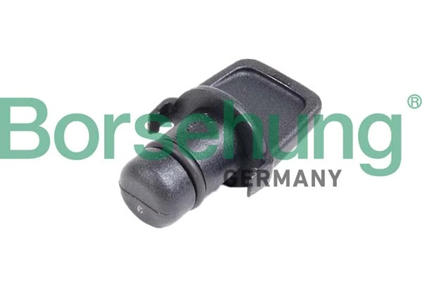 B12390 Borsehung