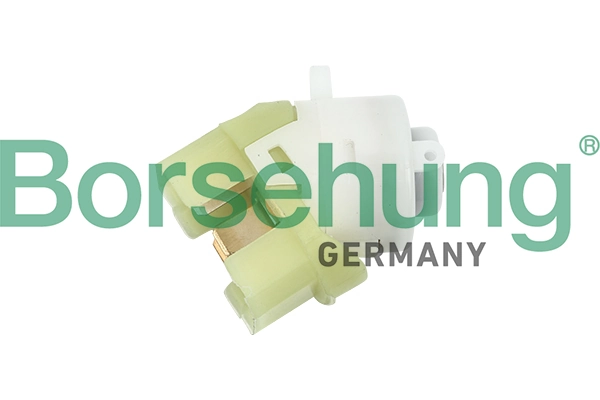 B17986 Borsehung