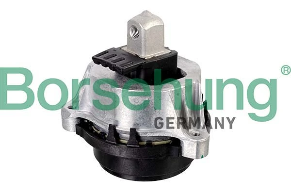 B12630 Borsehung