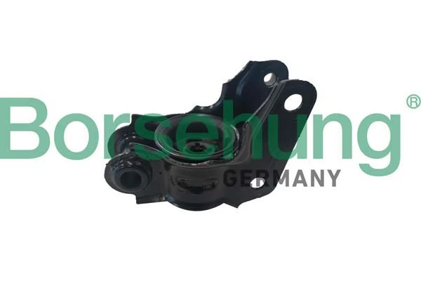 B10046 Borsehung