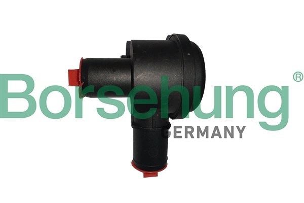 B12190 Borsehung