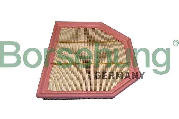 B12454 Borsehung