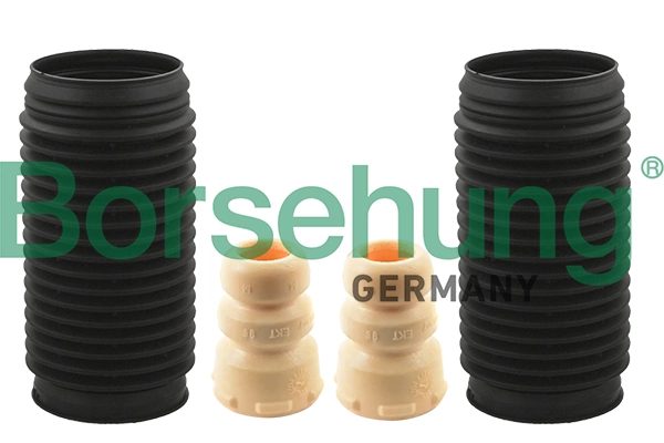 B10028 Borsehung