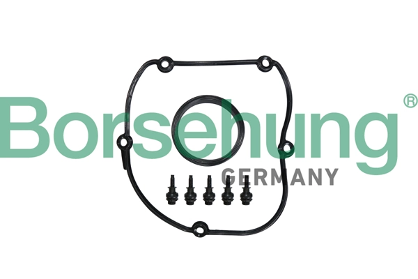B10629 Borsehung
