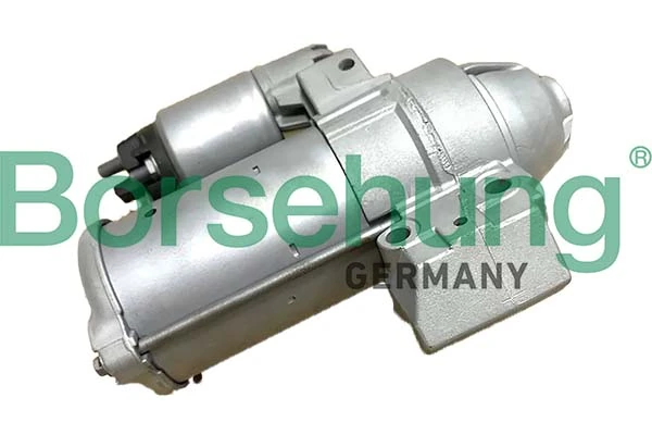 B12036 Borsehung