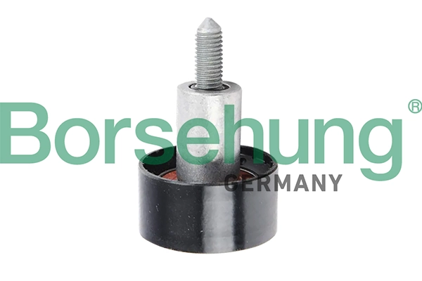 B12078 Borsehung