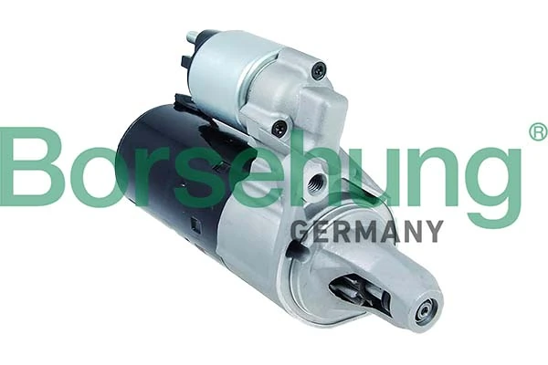 B12033 Borsehung