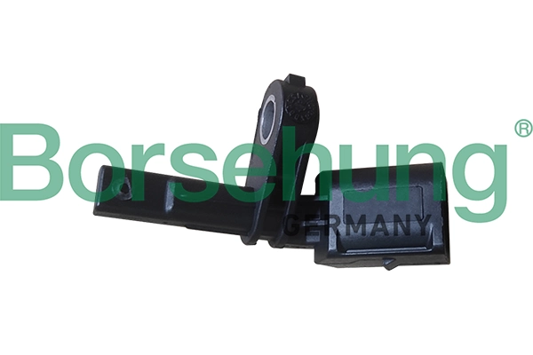 B11843 Borsehung