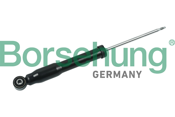 B17896 Borsehung