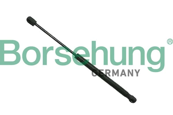 B12065 Borsehung