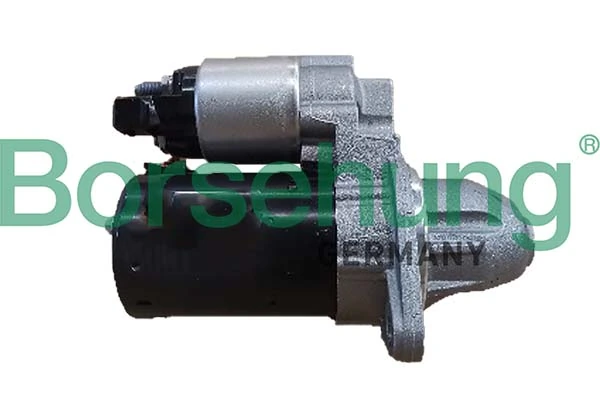 B12037 Borsehung