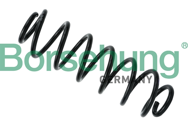 B12566 Borsehung