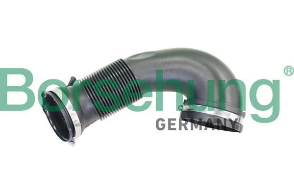 B12333 Borsehung