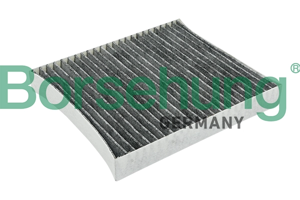 B12797 Borsehung