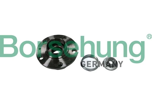 B11287 Borsehung
