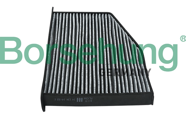 B18016 Borsehung