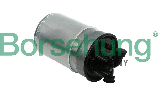 B12823 Borsehung
