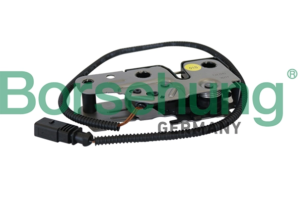 B10265 Borsehung
