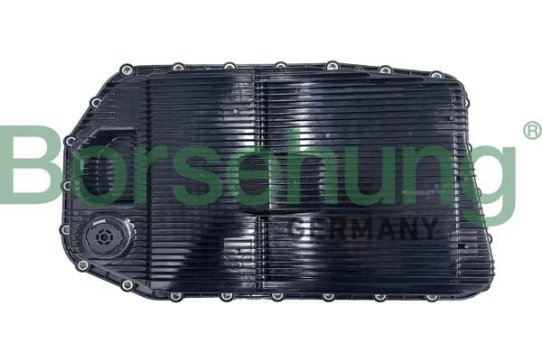 B12469 Borsehung