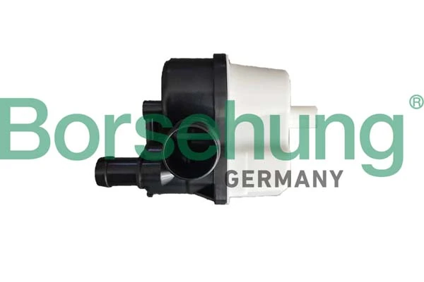 B12300 Borsehung