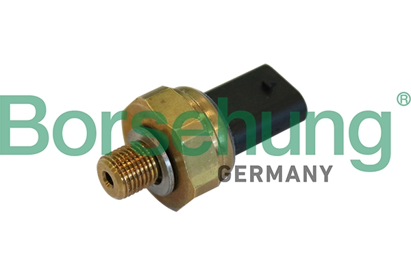B11844 Borsehung