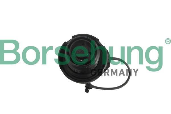 B18790 Borsehung
