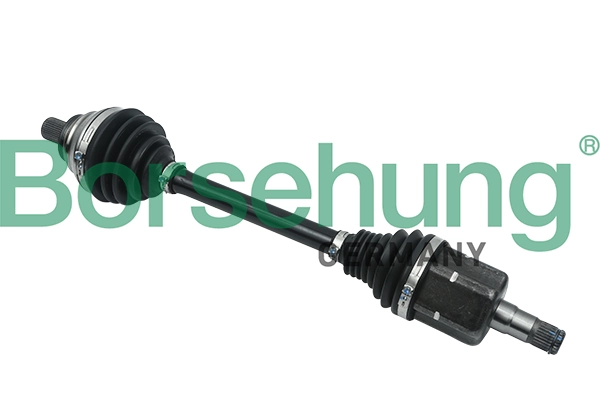 B18327 Borsehung