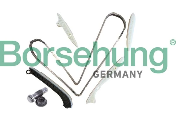 B10238 Borsehung