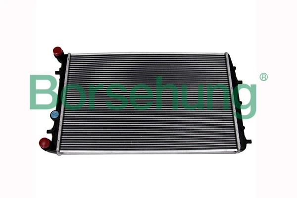 B14499 Borsehung