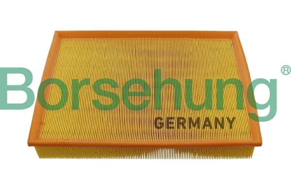 B12404 Borsehung