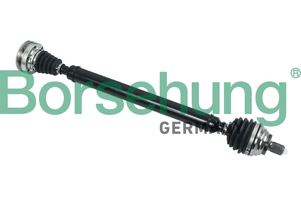 B18324 Borsehung