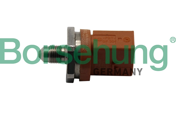 B11840 Borsehung