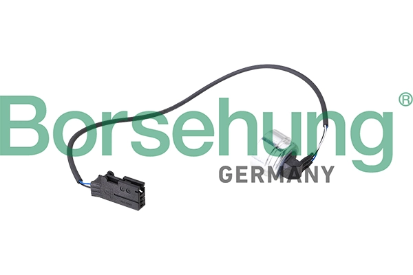 B11873 Borsehung