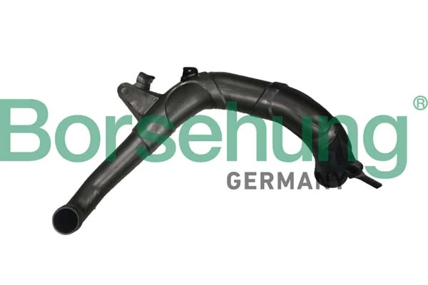 B12350 Borsehung