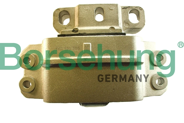B18934 Borsehung