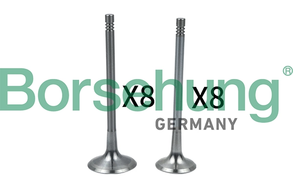 B18634 Borsehung