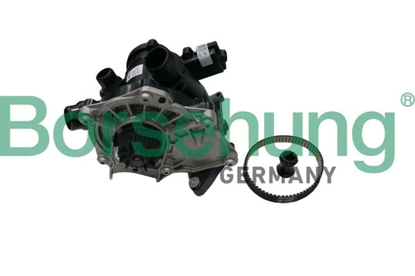 B11206 Borsehung