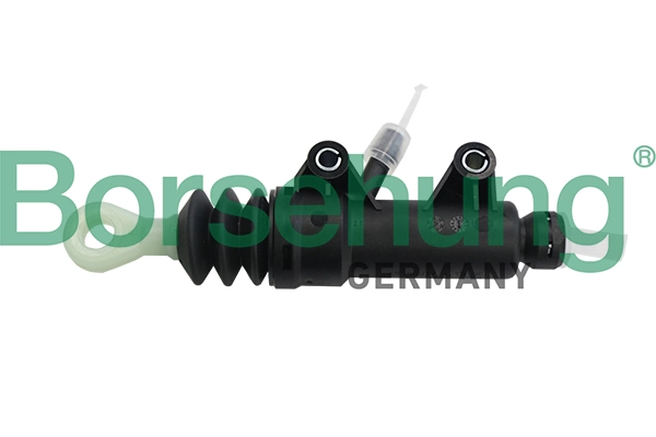 B19145 Borsehung