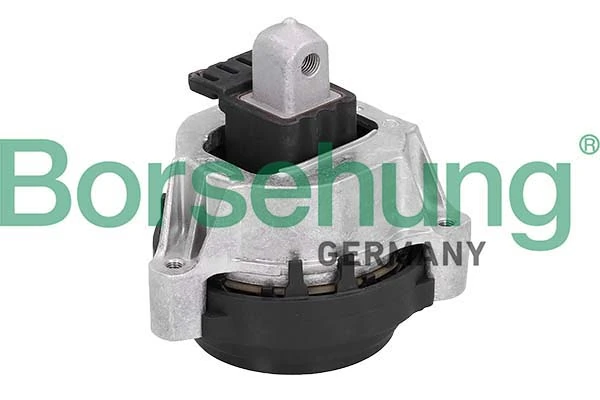 B12607 Borsehung