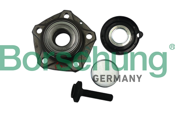 B11288 Borsehung
