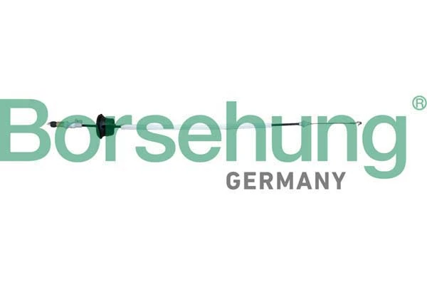 B10792 Borsehung