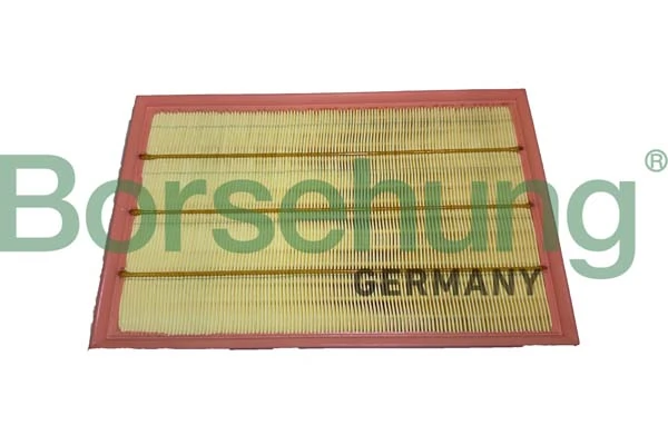B12445 Borsehung