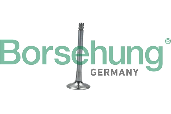 B19008 Borsehung