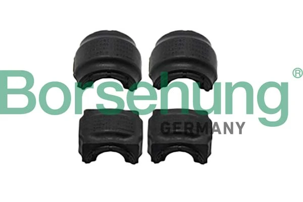 B10045 Borsehung