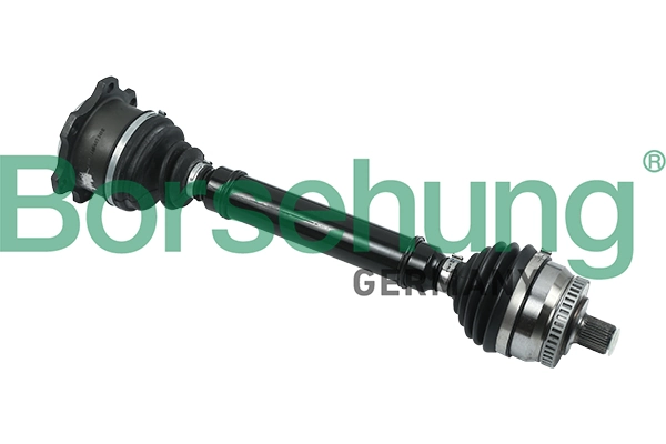 B18320 Borsehung