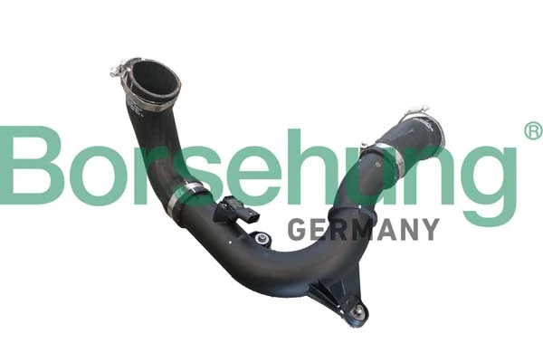 B12347 Borsehung