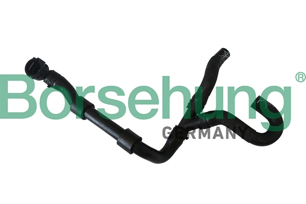 B11987 Borsehung